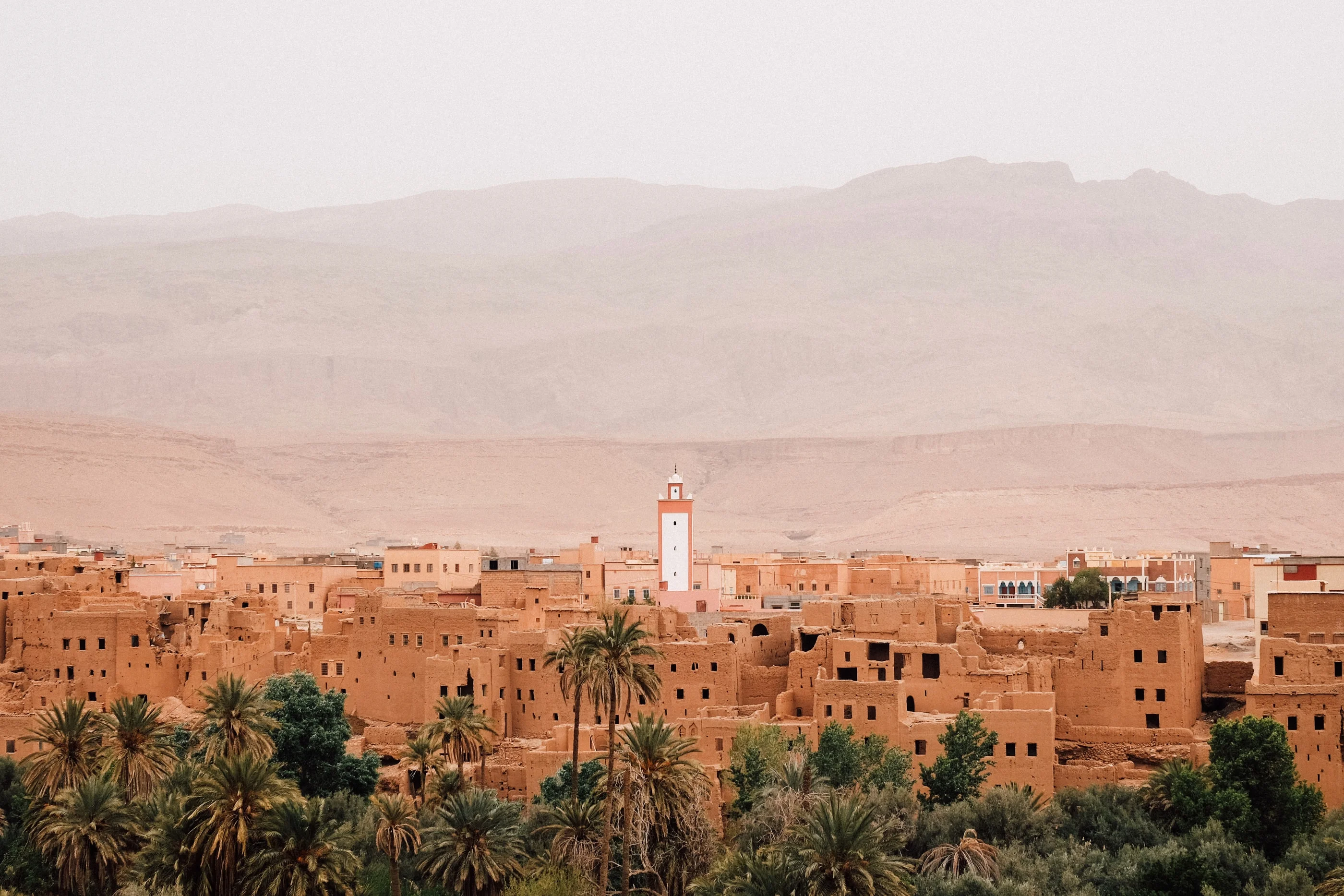 Town of red mud-brick houses and a minaret among palm trees, hazy mountains behind