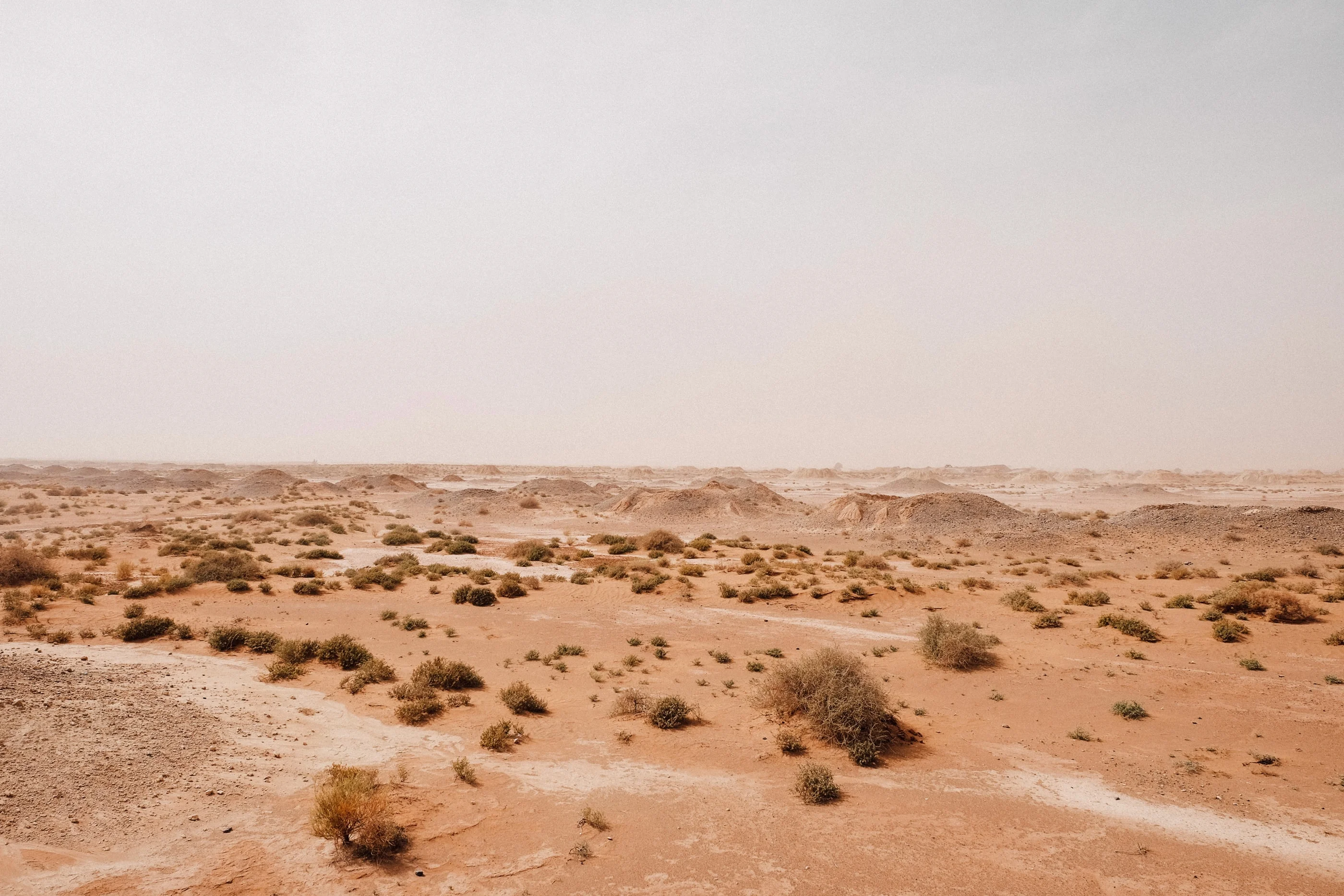 Stony desert plain with dry shrubs under a hazy sky