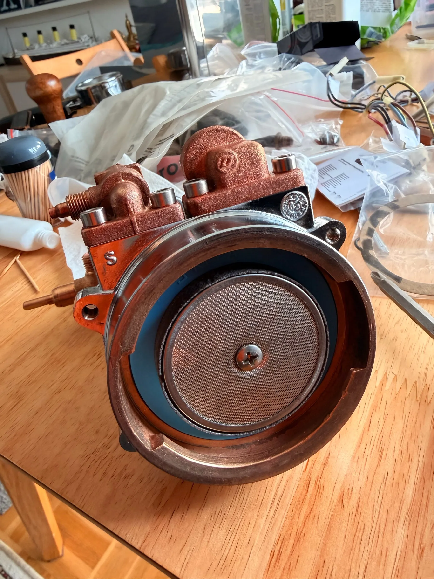 The cleaned brew group bolted to the boiler with new stainless screws, seen from below: a bright shower screen held by one screw and a blue group gasket around it