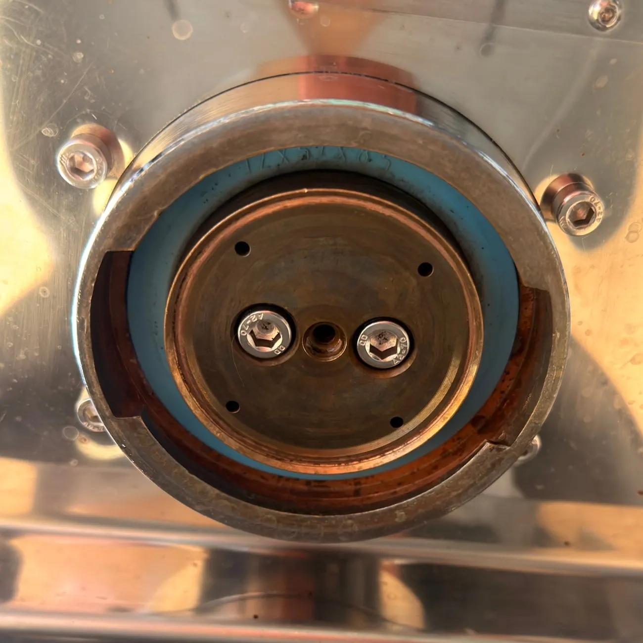The brew group seen from below in the reassembled machine with the shower screen off: the brass shower holder held by two stainless hex-socket screws stamped A2-70, the hole for the shower screen screw between them, four small water holes near the rim and the blue group gasket around it