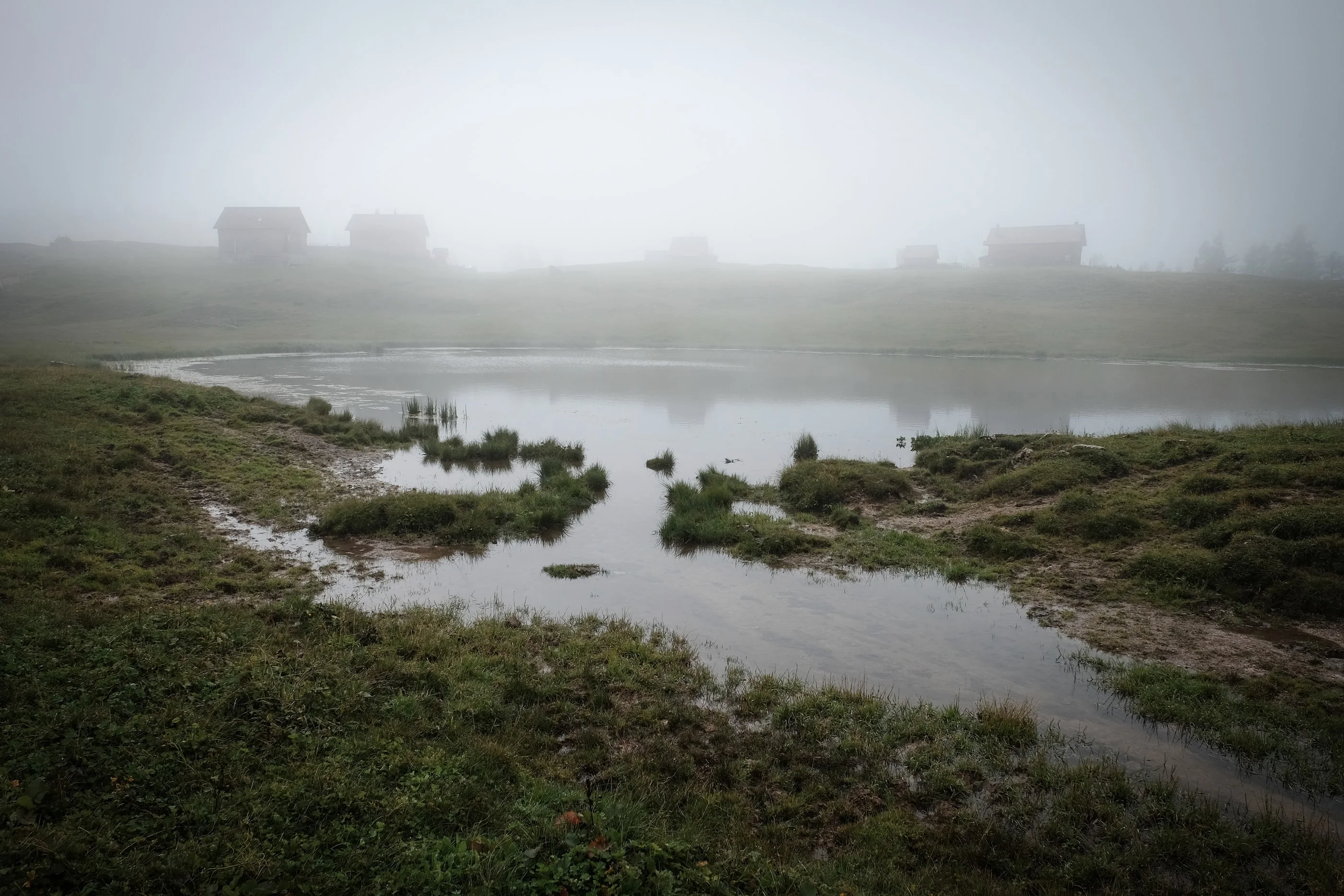 Small pond in a marshy meadow, huts faint in the fog behind
