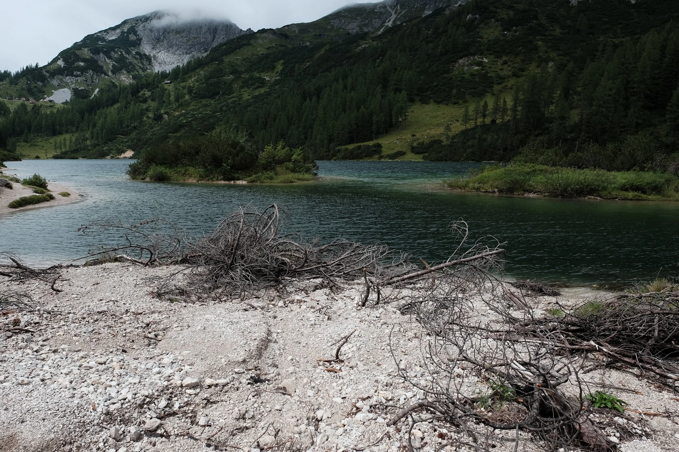 Dead branches on the pale shore of a green mountain lake