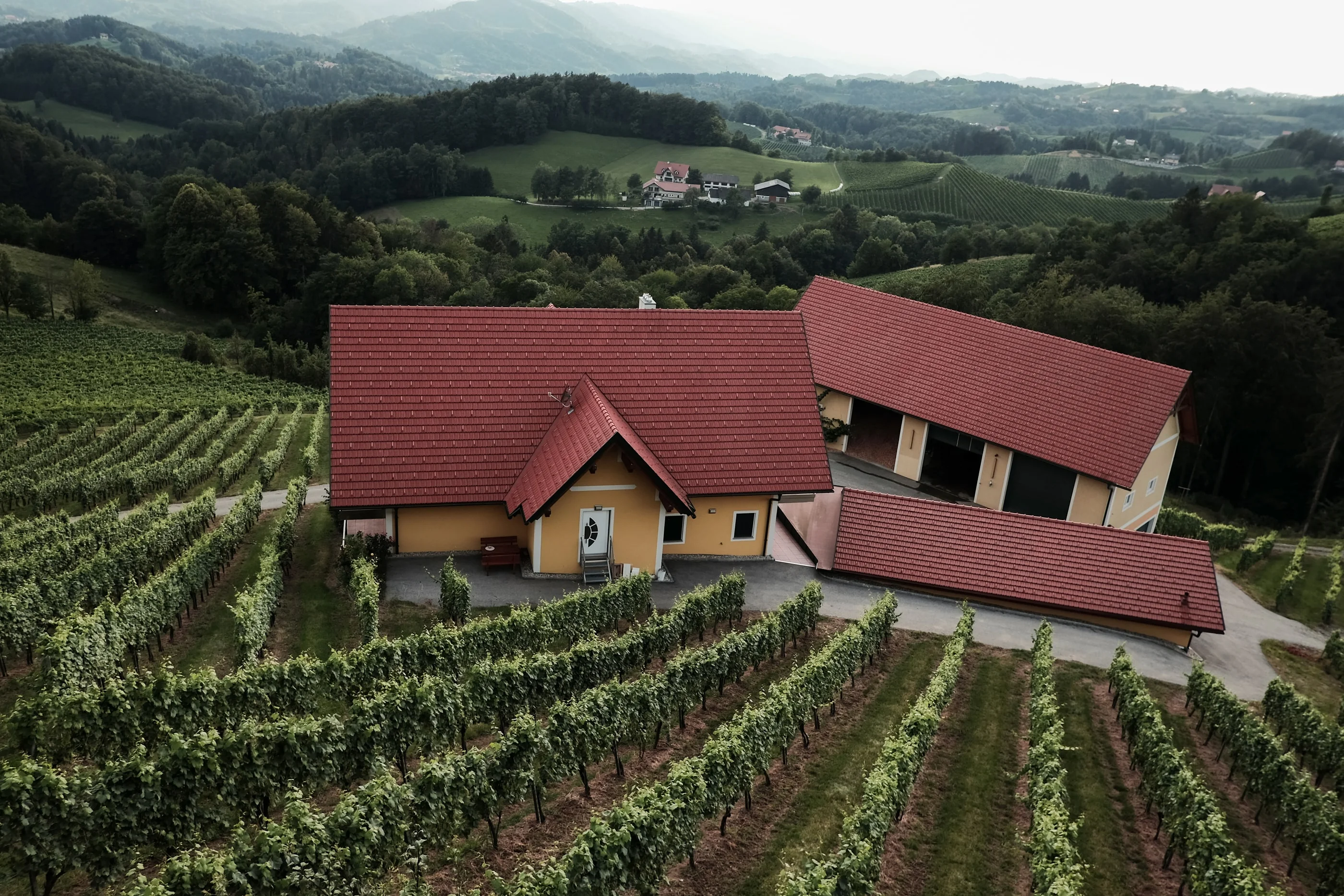 Winery with red roofs surrounded by vineyard rows on a hillside