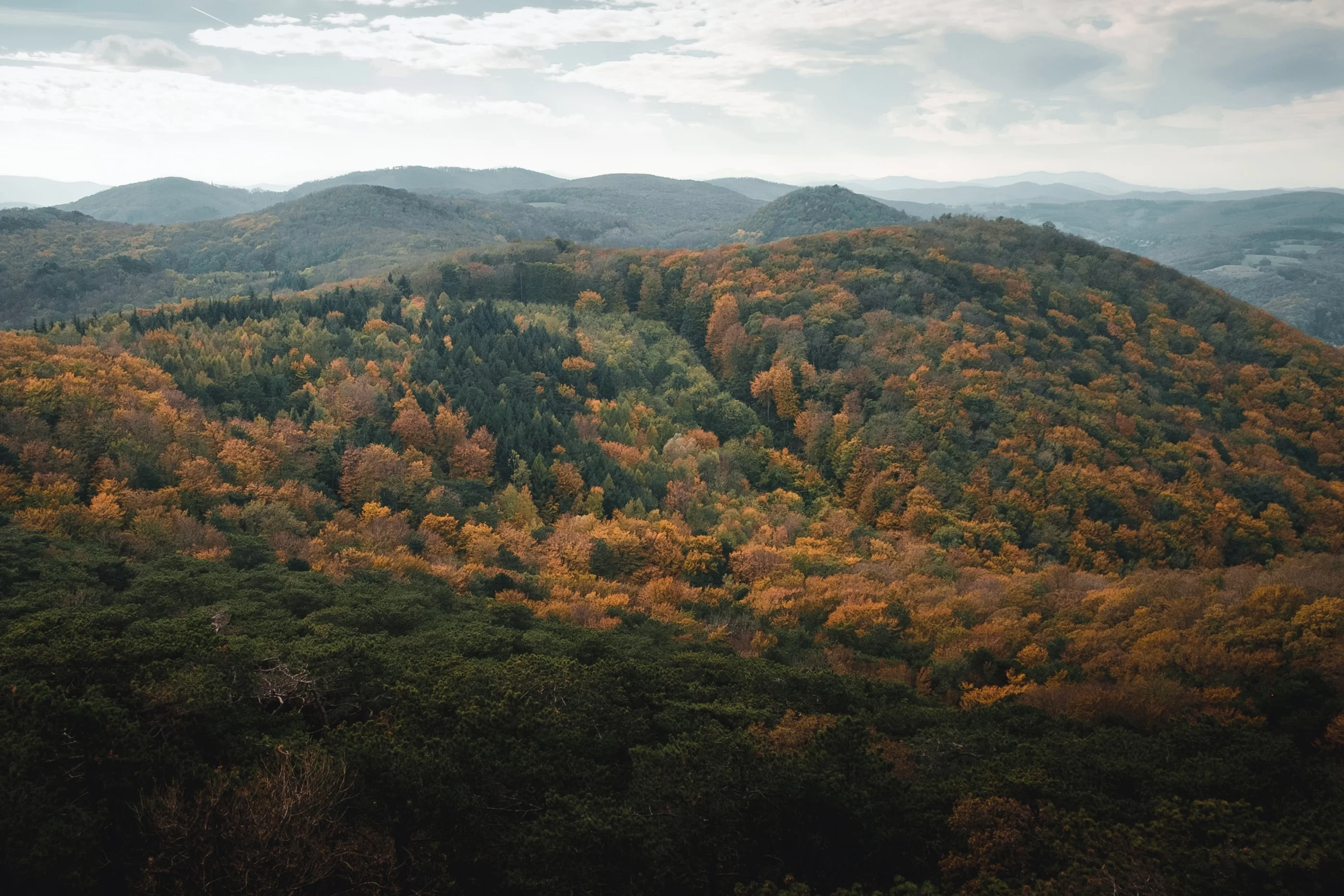 Rolling hills covered in orange and green autumn forest